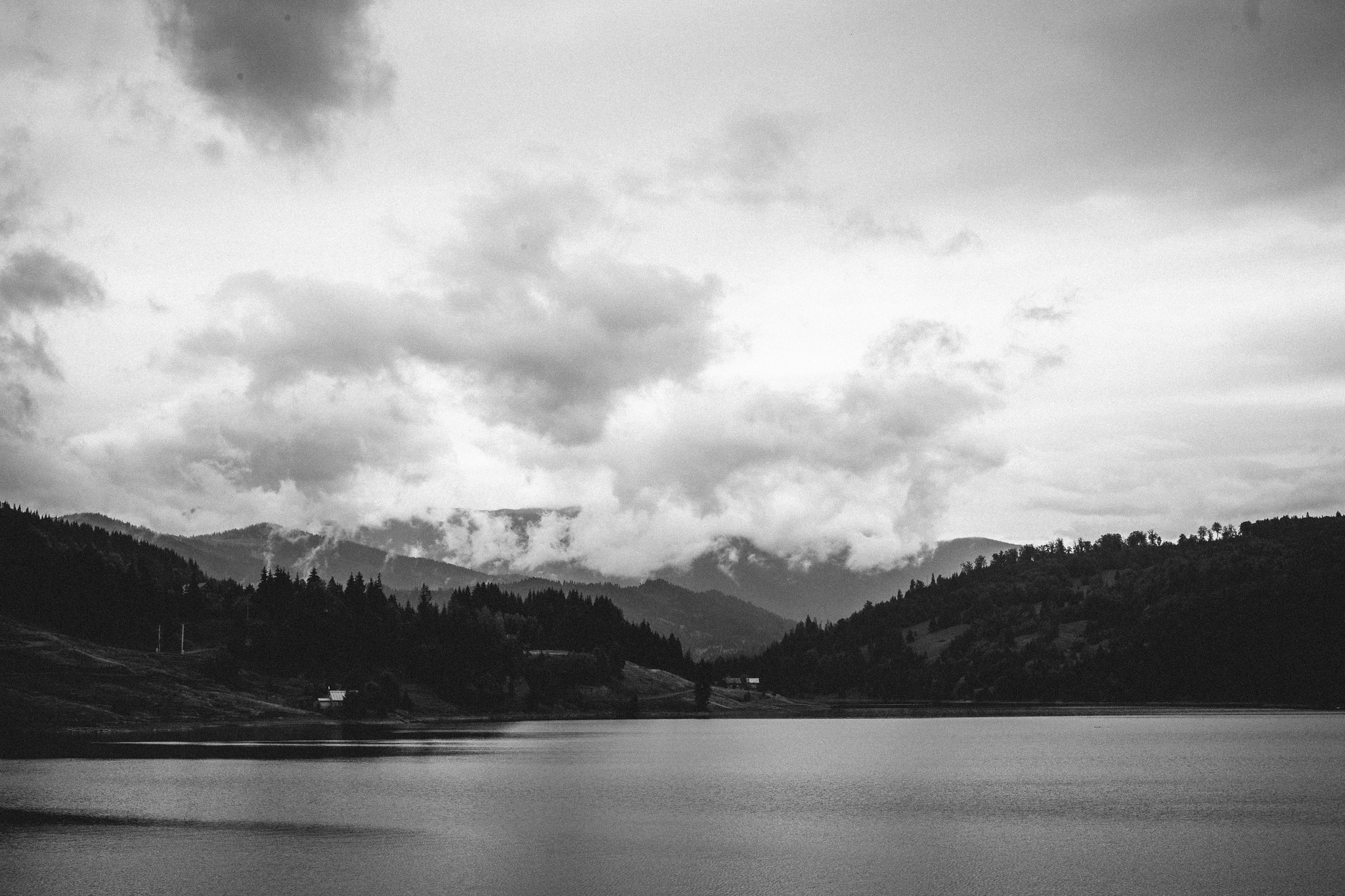 Andra + Mihai {civil ceremony} 016